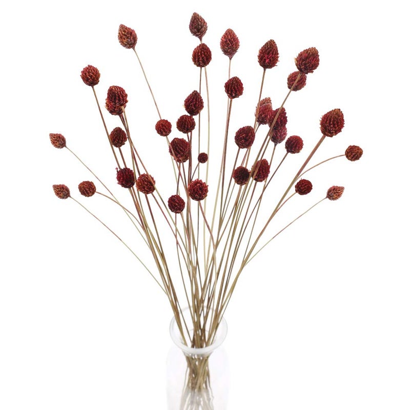 MHMJON 30 Pcs Dried Flowers Bouquet Bulk Mini Billy Ball Flowers Pine Cone Flowers Natural Dried Flowers for Vase Handmade Fake Flowers for Home Indoor Kitchen Office DIY Wedding Table Decor (16.9") - Image 1